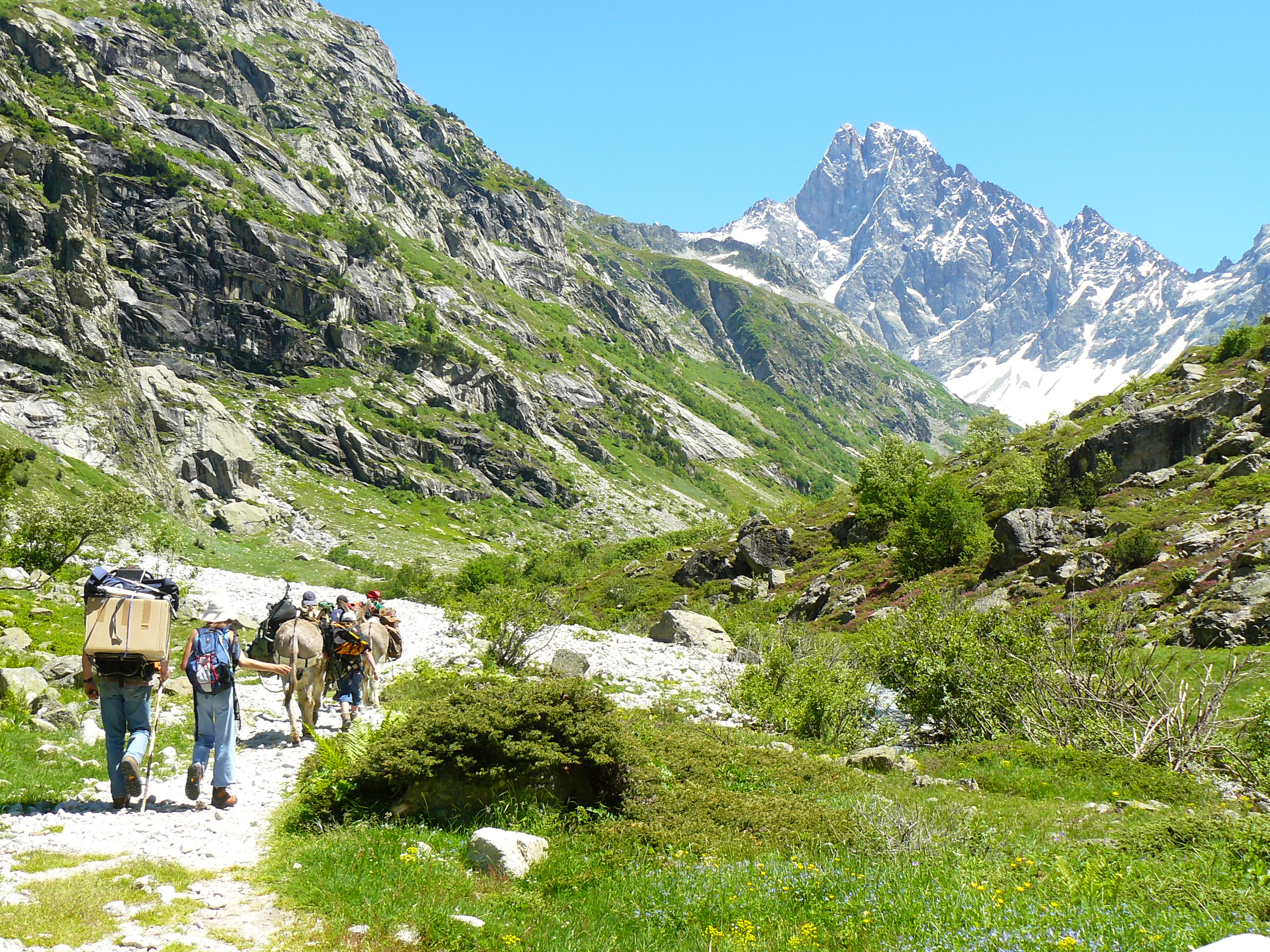 Randonneurs et ânes bâtés dans la vallée des Écrins