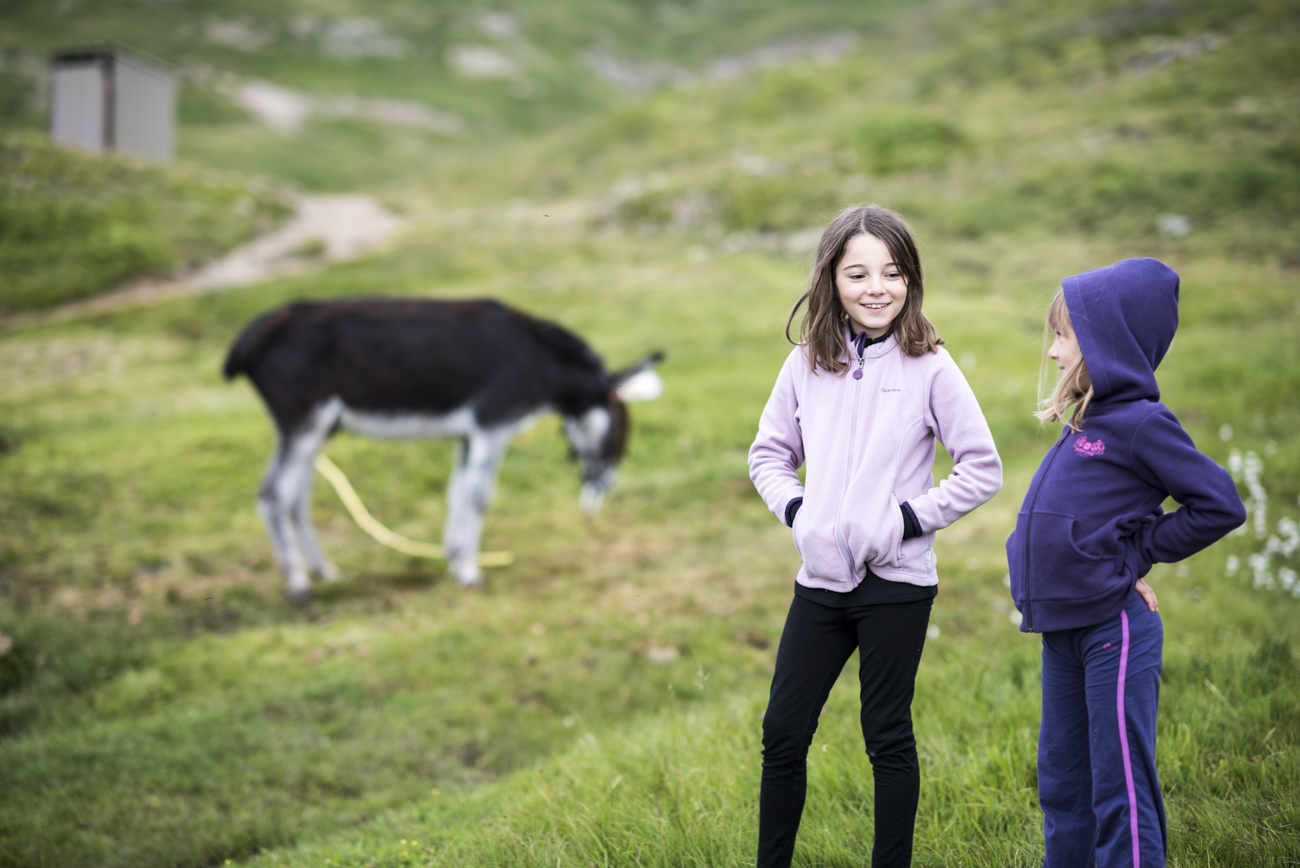 Deux enfants avec un âne dans les alpages