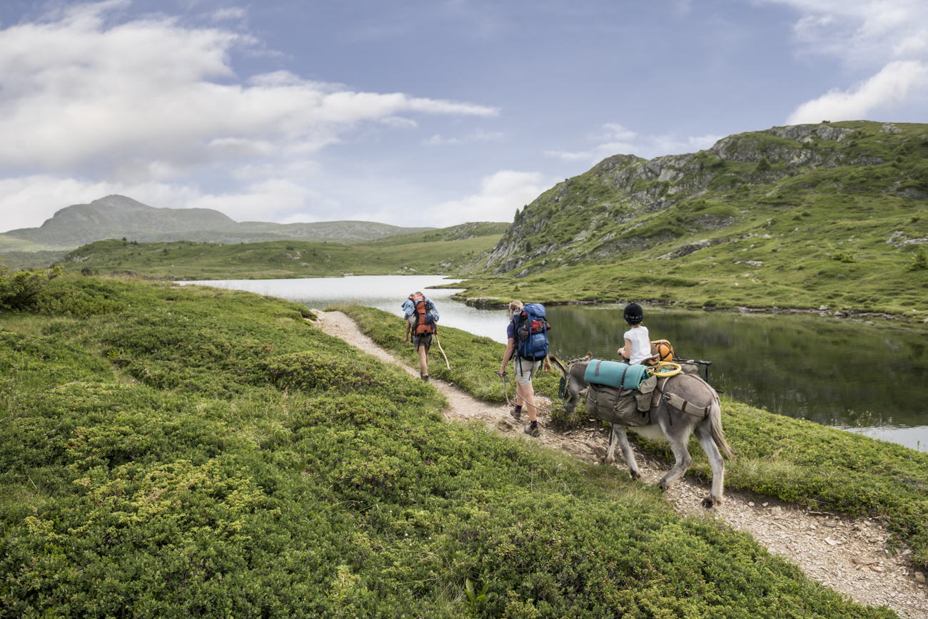 Randonneurs avec un âne au bord d'un lac de montagne, Parc des Écrins