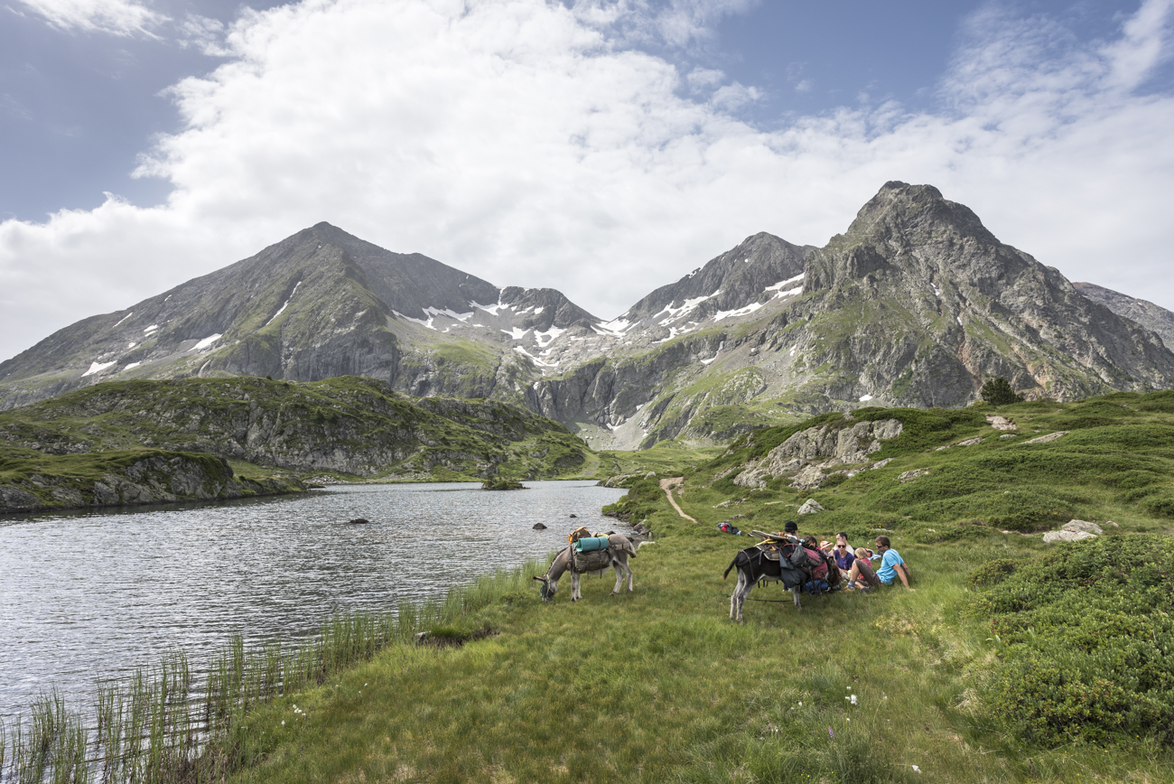 Lac de montagne dans les Écrins avec ânes et randonneurs